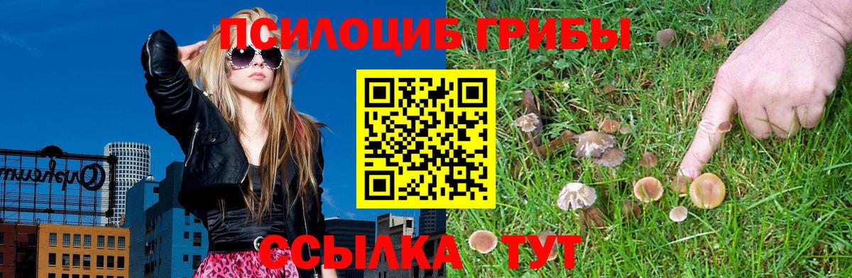 Псилоцибиновые грибы мицелий  Галлюциногенные грибы Psilocybine cubensis  Еманжелинск  Вход с VPN 