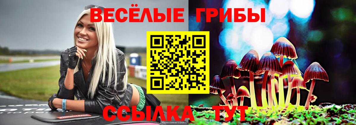 Псилоцибиновые грибы GOLDEN TEACHER Еманжелинск